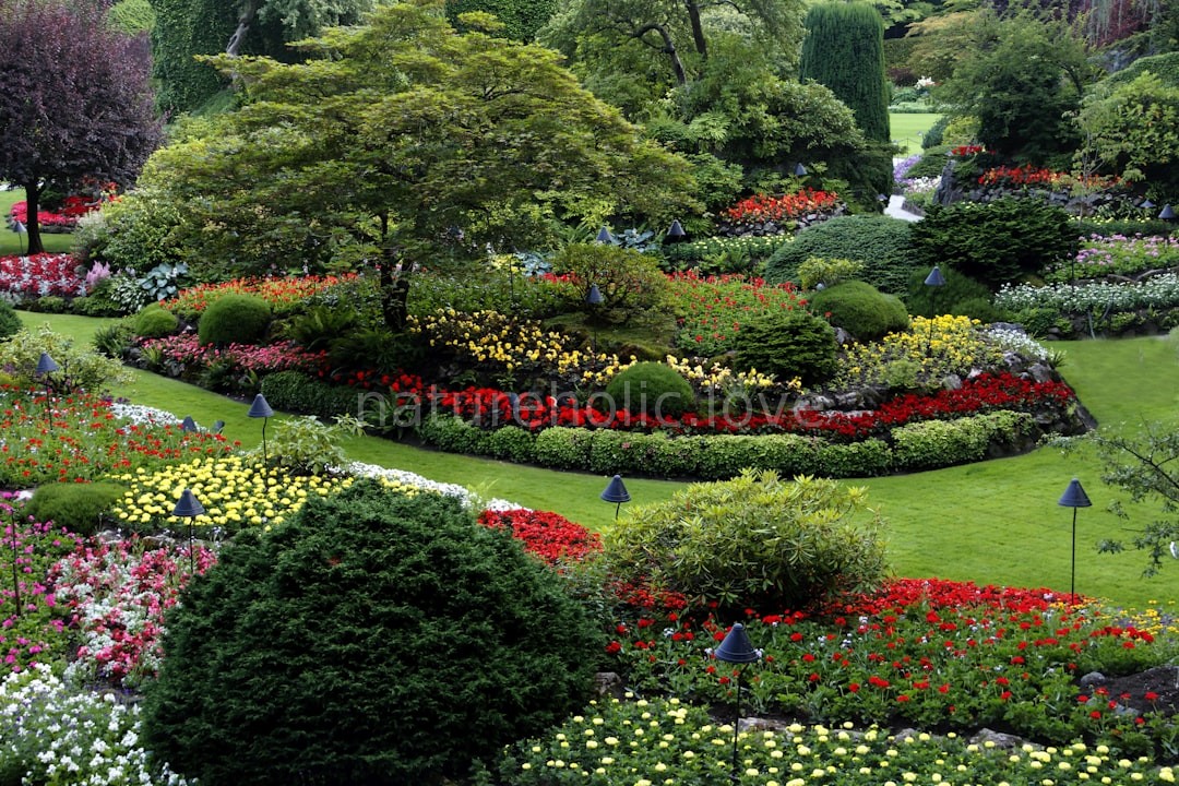Plant Selection